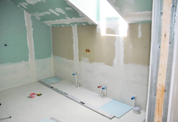 Best Emergency Mold Remediation  in Rogers, MN