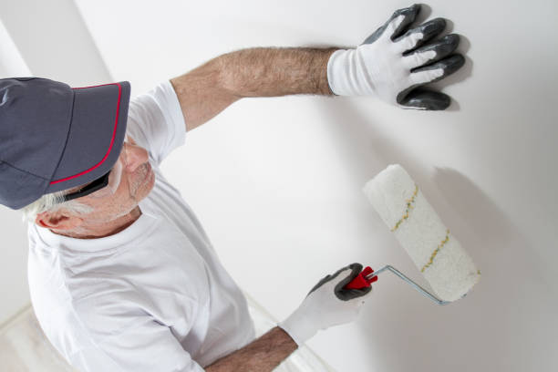 Best Attic Mold Removal  in Rogers, MN
