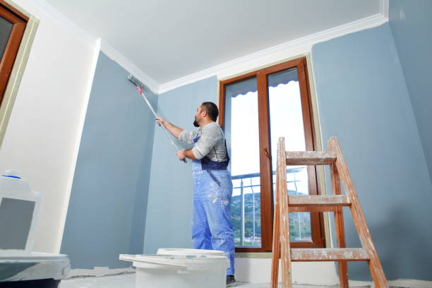 Best Mold Remediation for Healthcare Facilities  in Rogers, MN