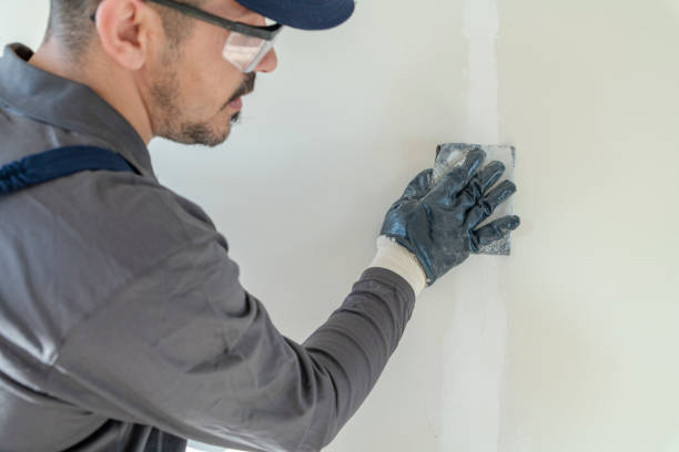 Best Mold-Related Health Consultation  in Rogers, MN