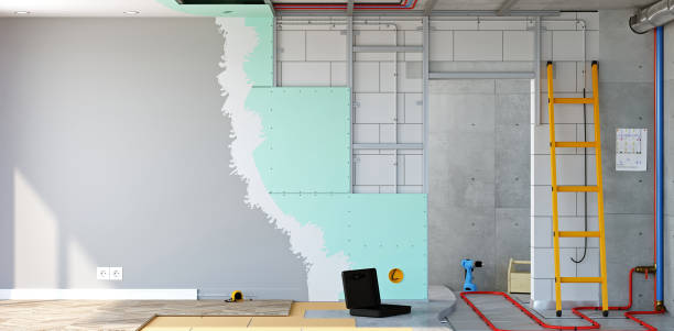 Best Attic Mold Removal  in Rogers, MN