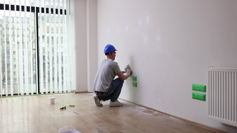 Best Mold Odor Removal Services  in Rogers, MN