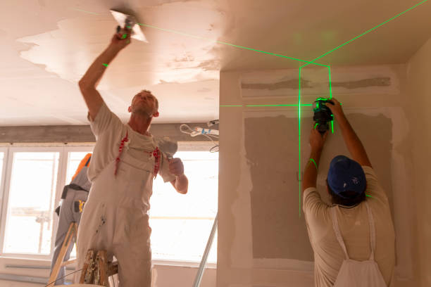 Best Airborne Mold Testing  in Rogers, MN
