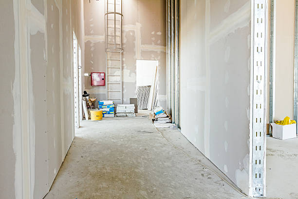 Best HVAC Mold Inspection and Cleaning  in Rogers, MN