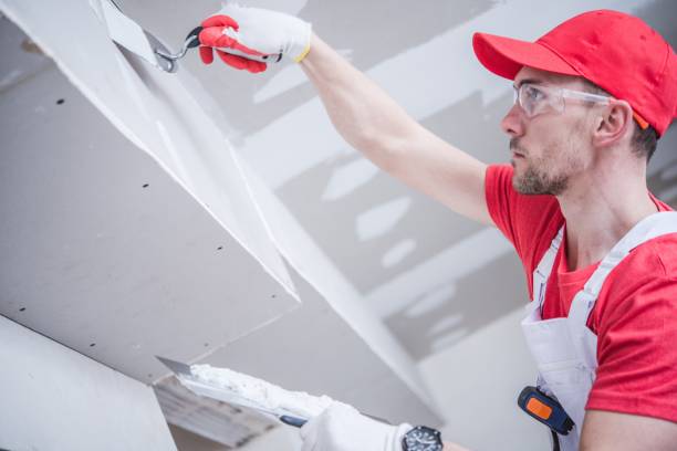 Best Air Quality Testing for Mold Spores  in Rogers, MN